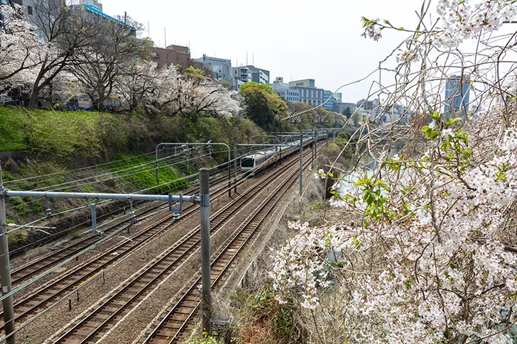 中央線の線路のフリー写真素材