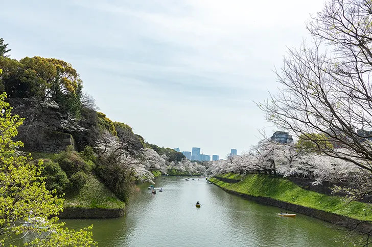 千鳥ヶ淵のフリー写真素材