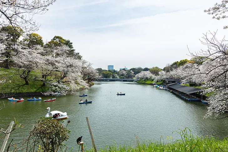 千鳥ヶ淵のフリー写真素材