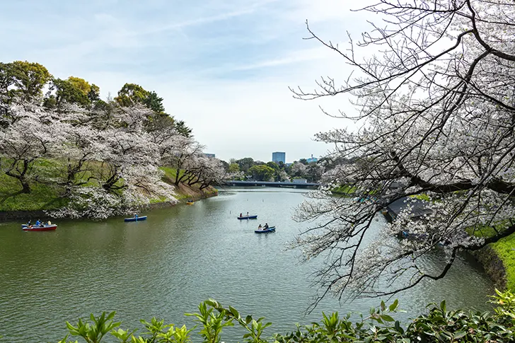 千鳥ヶ淵のフリー写真素材