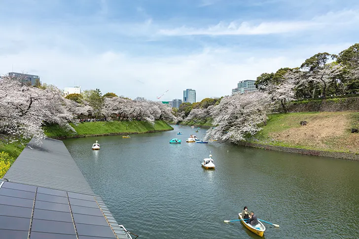 千鳥ヶ淵のフリー写真素材