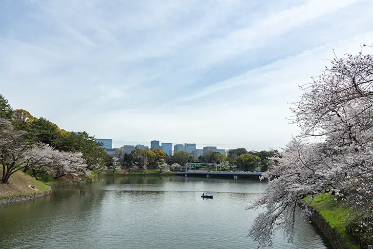 千鳥ヶ淵のフリー写真素材