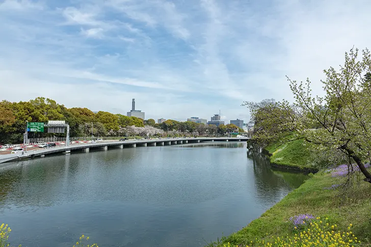 千鳥ヶ淵のフリー写真素材