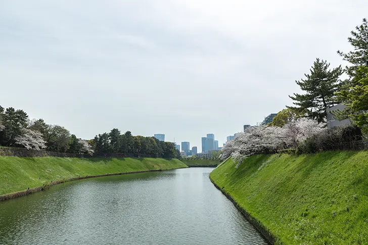 半蔵濠のフリー写真素材