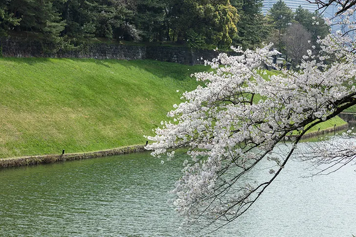 半蔵濠のフリー写真素材