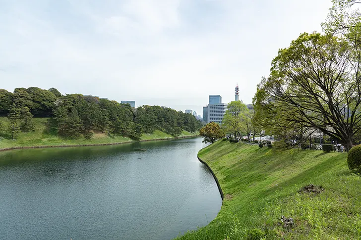 桜田濠のフリー写真素材