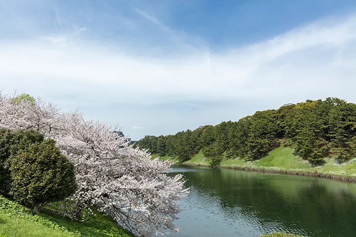 桜田濠のフリー写真素材