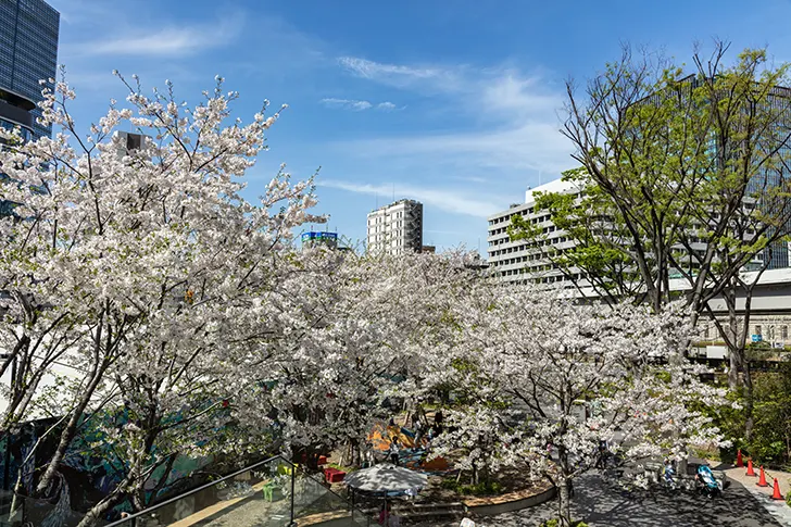 大手町のフリー写真素材