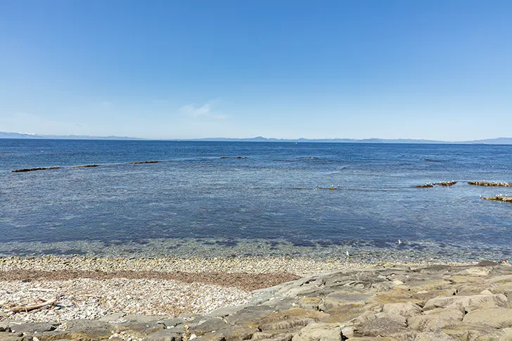 海免费照片素材