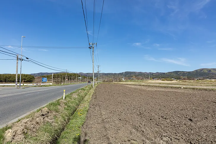 路免费照片素材