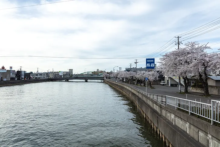 青森市 堤川のフリー写真素材