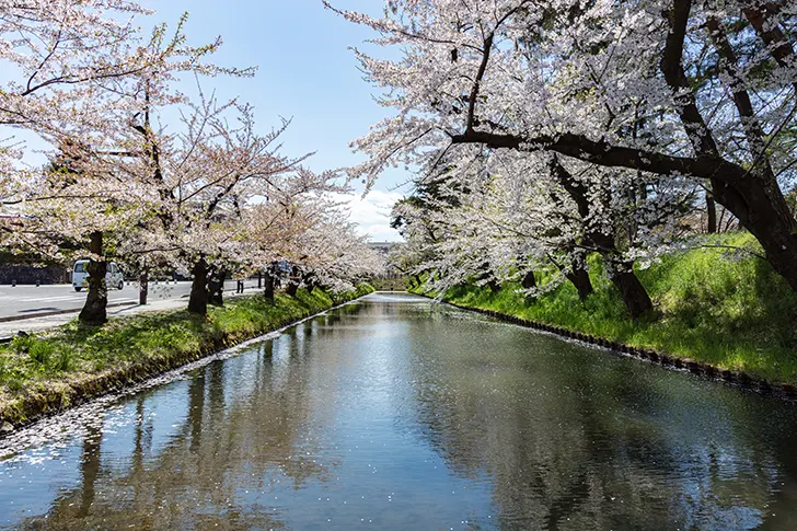 弘前公園の外濠のフリー写真素材