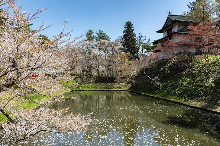 Free Hirosaki Park Photo Material