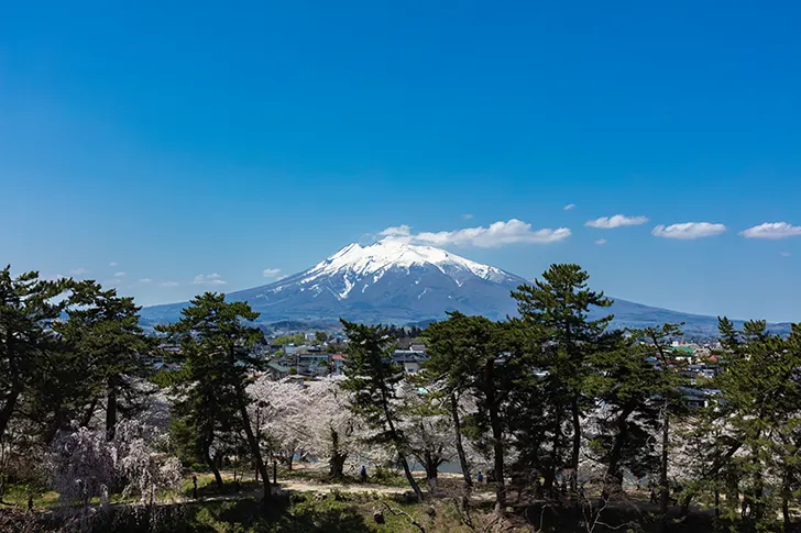 Free Mt. Iwaki Photo Material