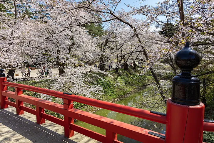 Free Hirosaki Park Photo Material