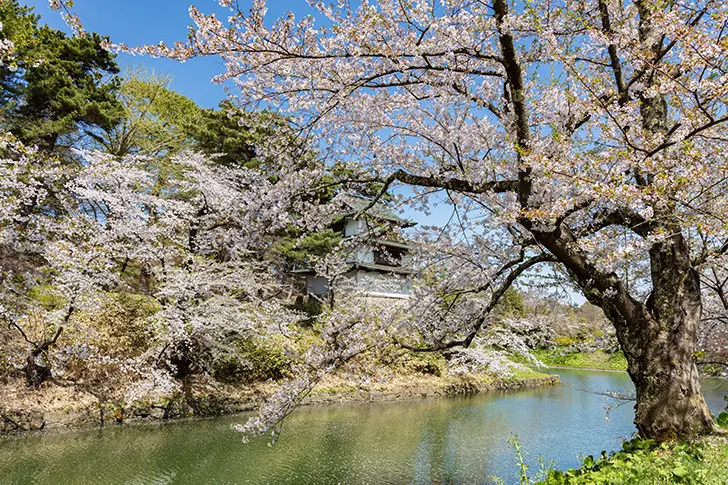 Free Hirosaki Park Photo Material