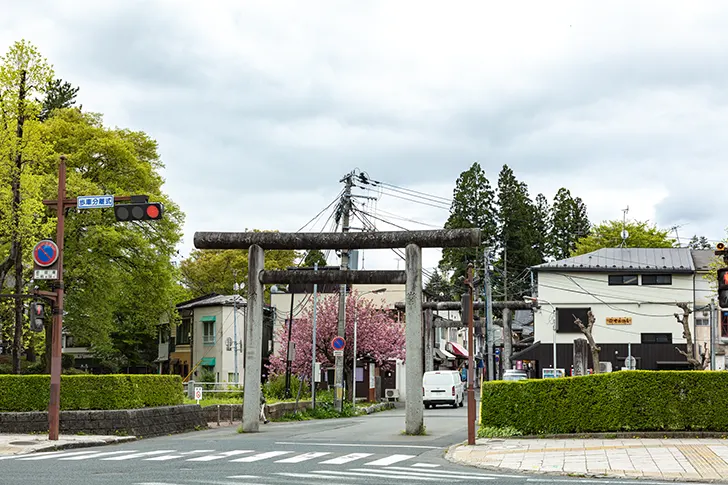 Free Torii gates in Morioka city Photo Material