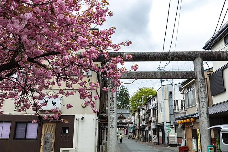 Free Torii gates in Morioka city Photo Material