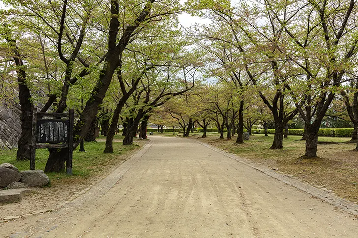 Free Morioka Castle Ruins Park (Iwate Park) Photo Material