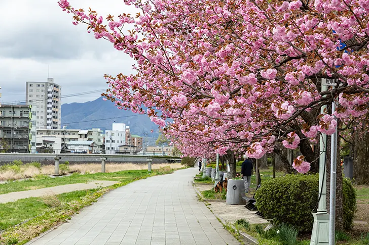 盛岡城跡公園周辺のフリー写真素材