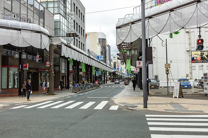 Free Morioka Odori Shopping Street Photo Material