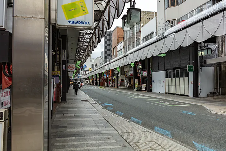 Free Morioka Odori Shopping Street Photo Material