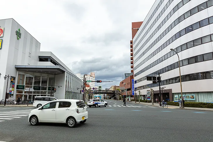 Free Morioka Odori Photo Material