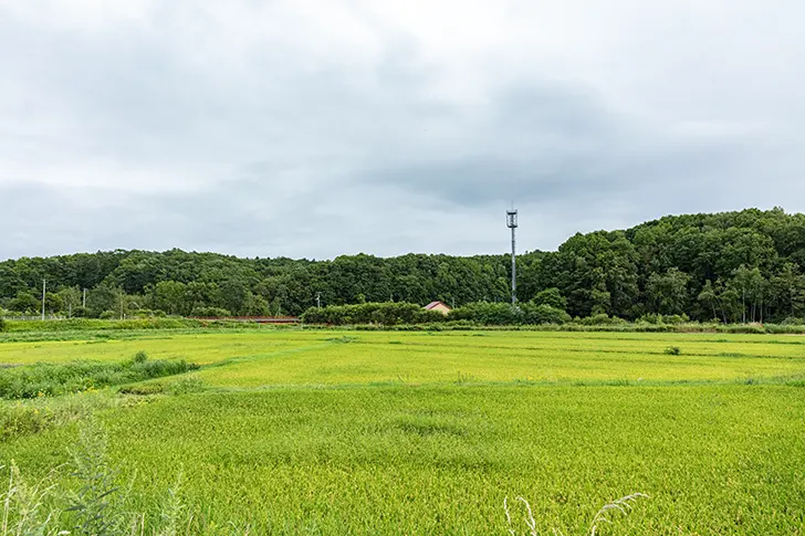 Free Nakanosawa, Kitahiroshima Photo Material