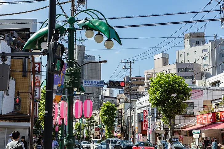 Free Aomono Yokocho Photo Material