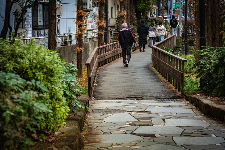 新宿四季路免费照片素材