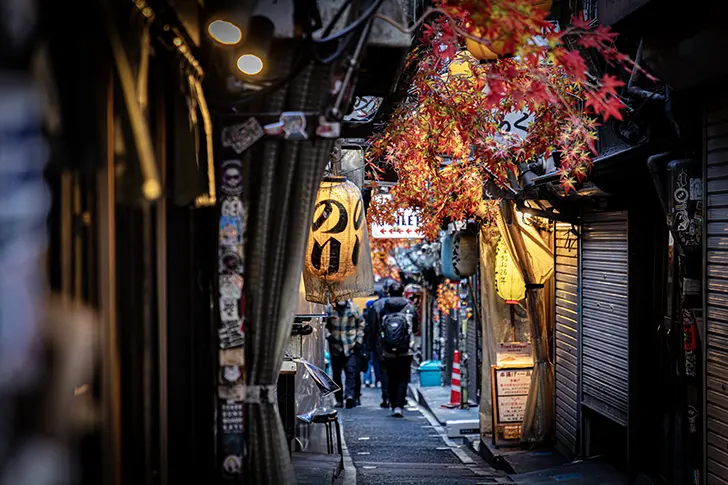 Free Shinjuku Omoide Yokocho Photo Material