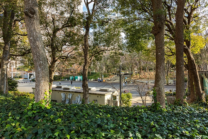 新宿中央公園のフリー写真素材