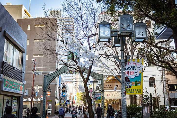 川口 樹モールのフリー写真素材