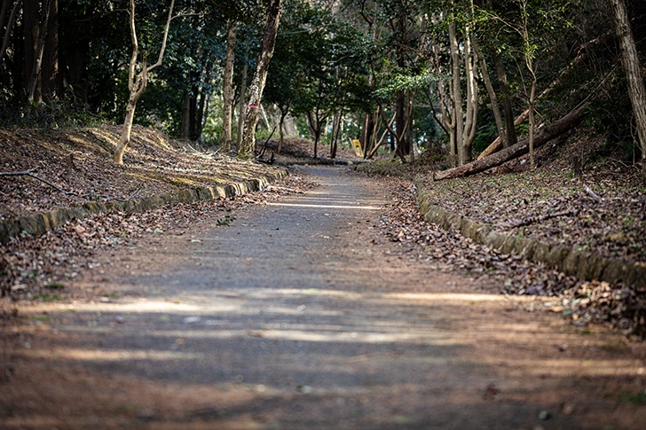 飯能 美杉台公園のフリー写真素材