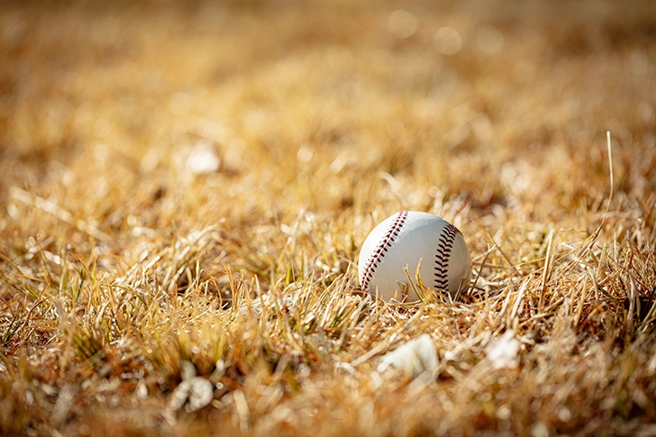 Free Baseball Ball Photo Material