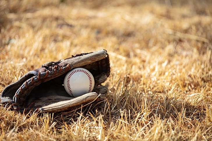 Free Baseball ball and glove Photo Material