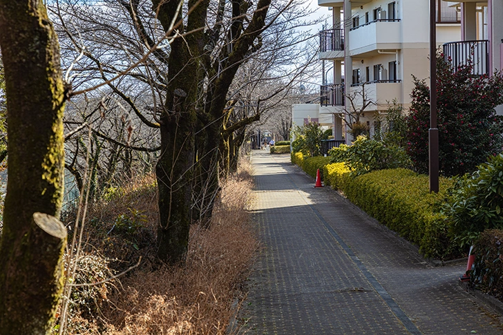 飯能 美杉台のフリー写真素材