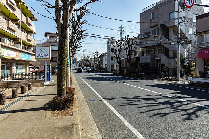 Free Kokubunji Kumano Shrine Street Photo Material