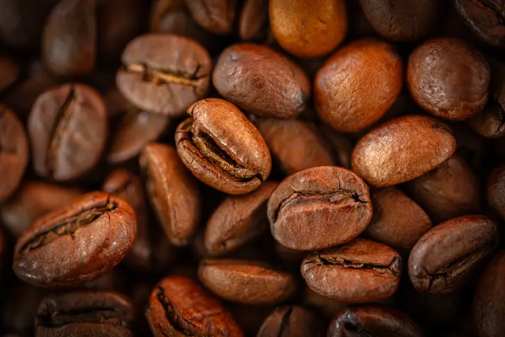 Free Coffee beans Photo Material