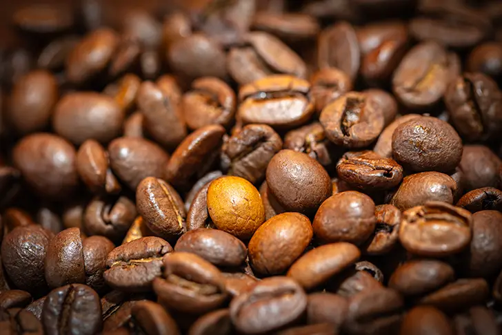 Free Coffee beans Photo Material
