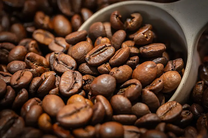 Free Coffee beans Photo Material