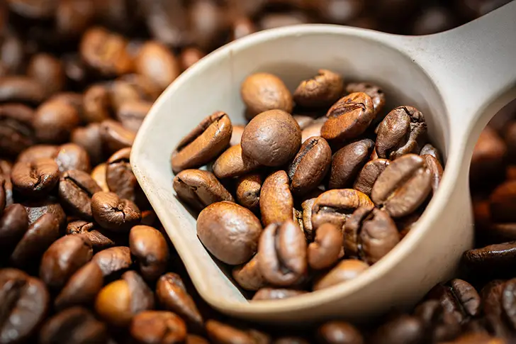 Free Coffee Beans Photo Material