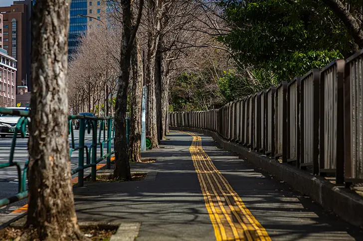 外堀通り沿いの歩道のフリー写真素材