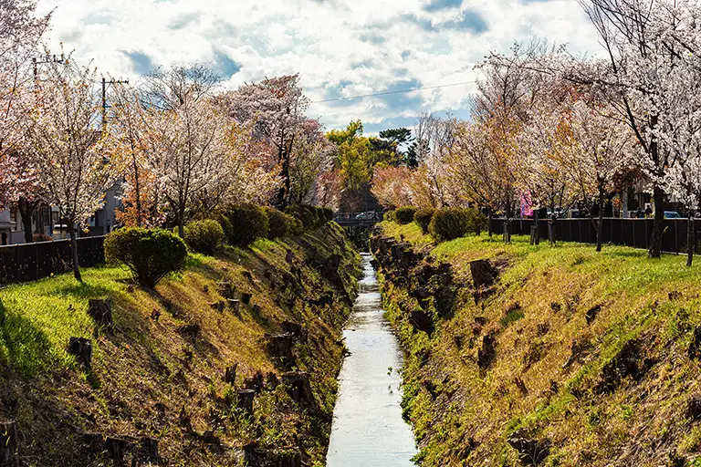 Free Tamagawa Josui Photo Material