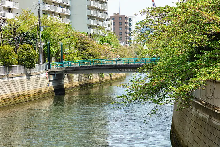 Free Meguro River seen from Koseki Bridge Photo Material