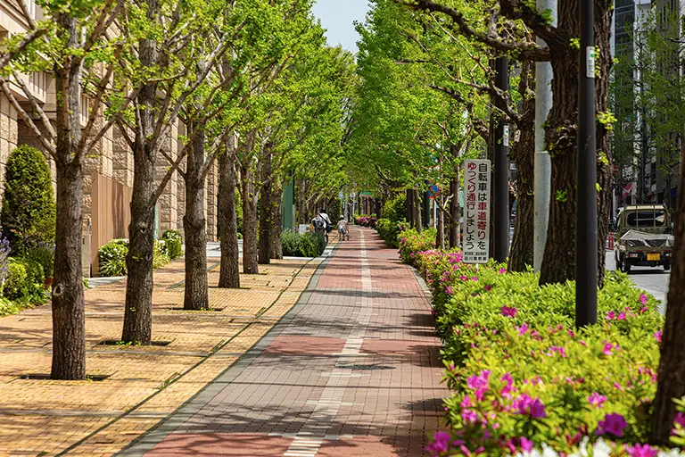 Free Promenade along Sony Street Photo Material