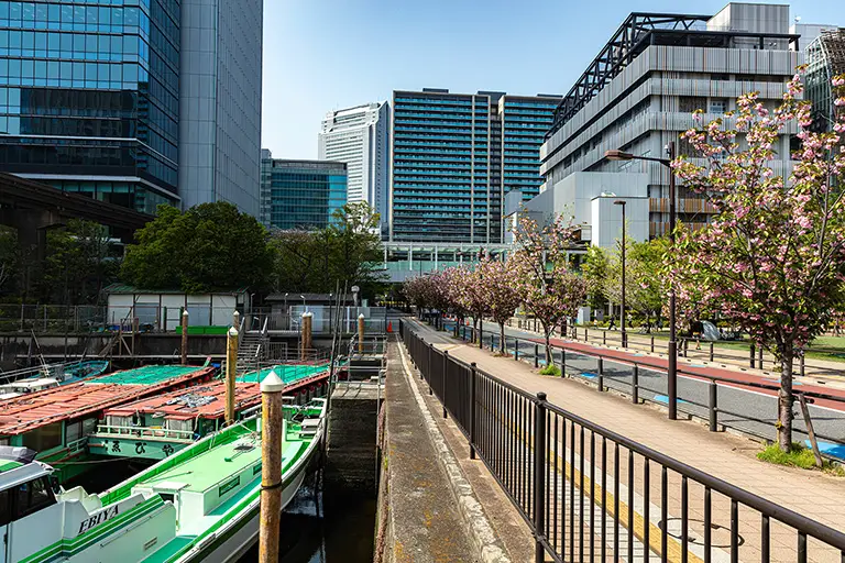 Free Shibaura Photo Material