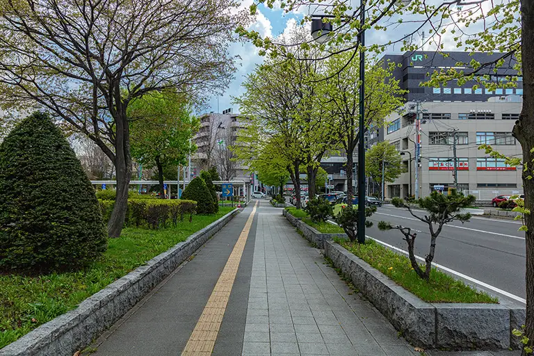 桑园站东街沿线免费照片素材