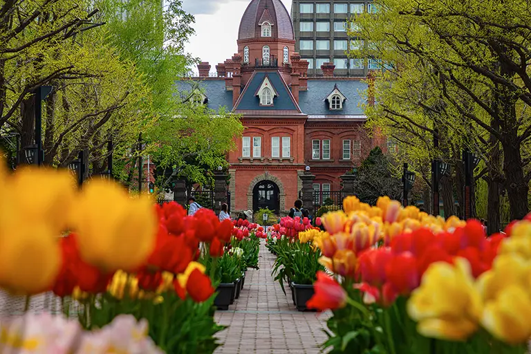 Free Red Brick Building and Tulips Photo Material
