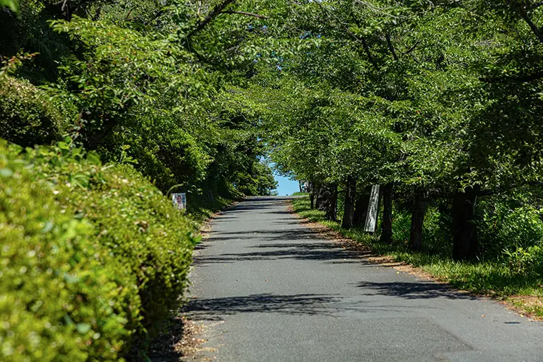 秩父的山路免费照片素材